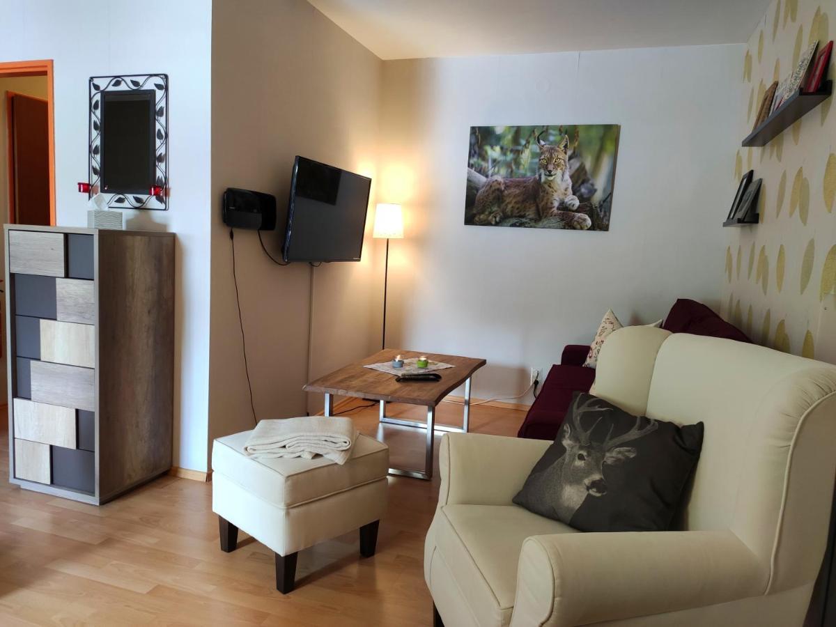 Ferienwohnung Harzluchs Mit Balkon, Netflix Und Sauna Im Haus Hohegeiß Екстериор снимка