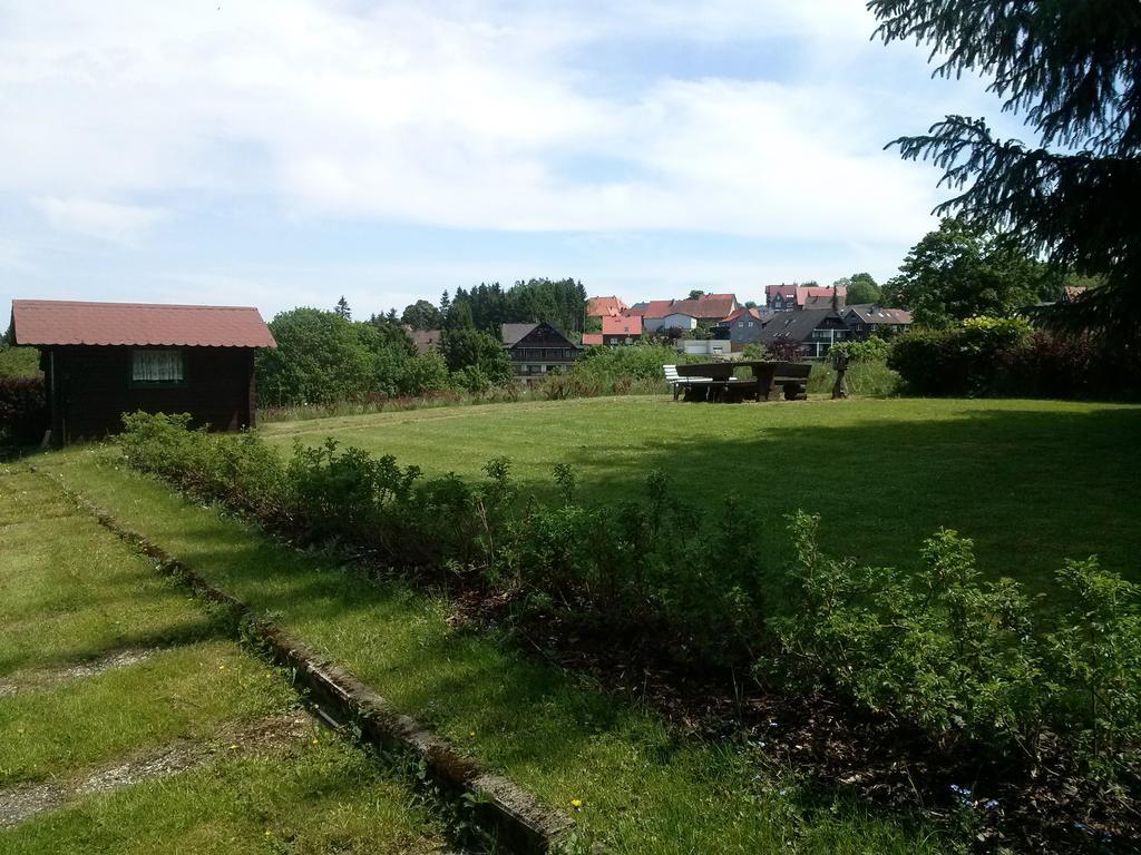 Ferienwohnung Harzluchs Mit Balkon & Sauna Im Haus Hohegeiß Стая снимка