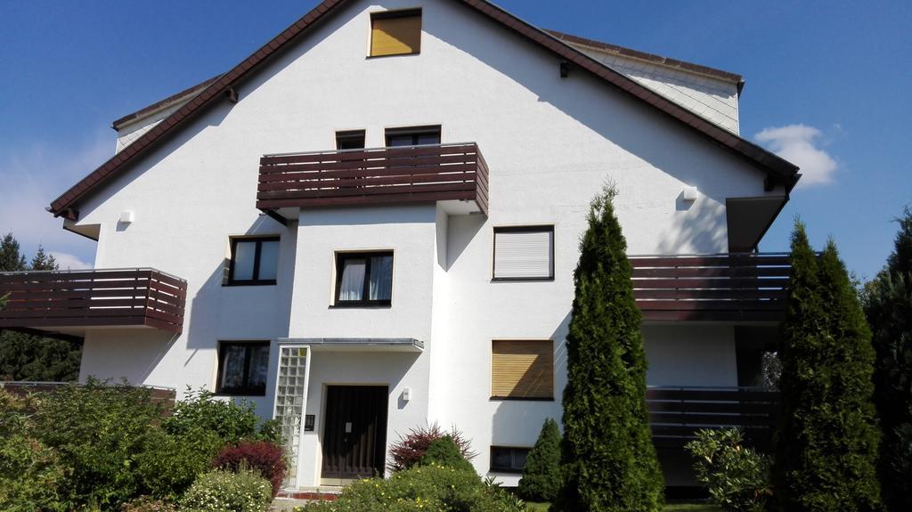 Ferienwohnung Harzluchs Mit Balkon & Sauna Im Haus Hohegeiß Стая снимка