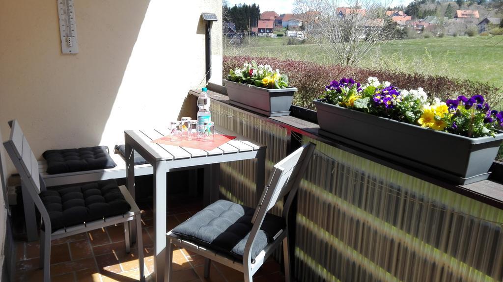 Ferienwohnung Harzluchs Mit Balkon, Netflix Und Sauna Im Haus Hohegeiß Екстериор снимка