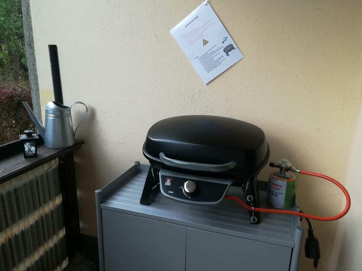 Ferienwohnung Harzluchs Mit Balkon, Netflix Und Sauna Im Haus Hohegeiß Екстериор снимка